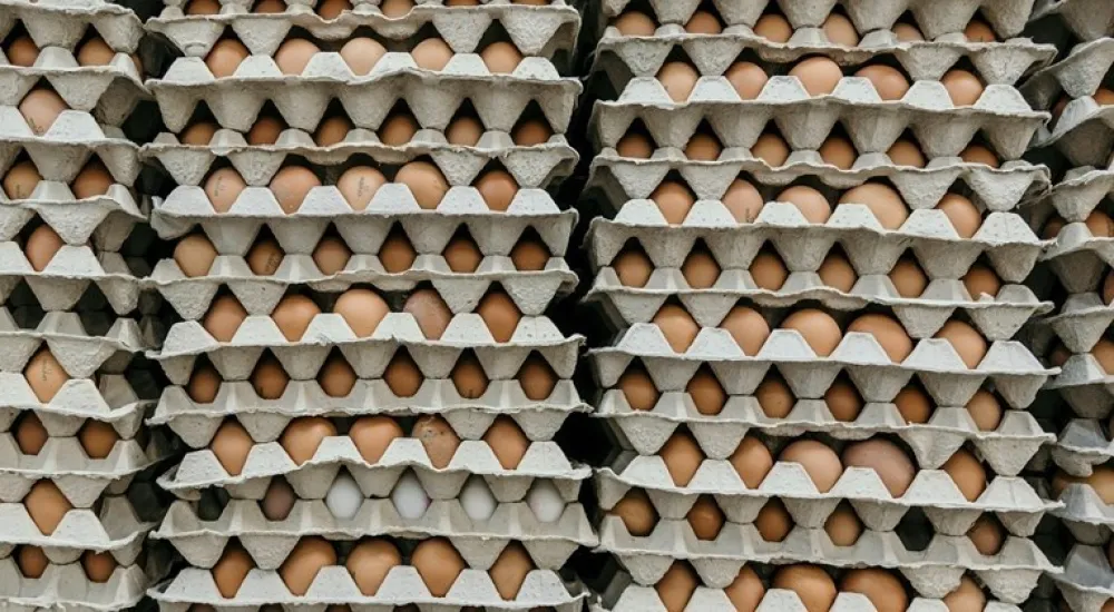 SAD: Poskupljuju jaja, ima i nesta&scaron;ica pred praznike