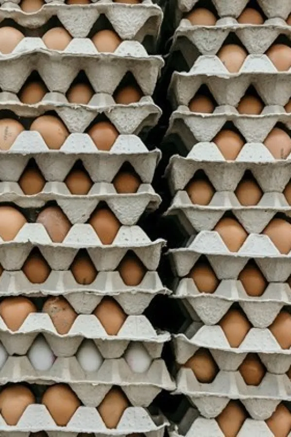 SAD: Poskupljuju jaja, ima i nesta&scaron;ica pred praznike