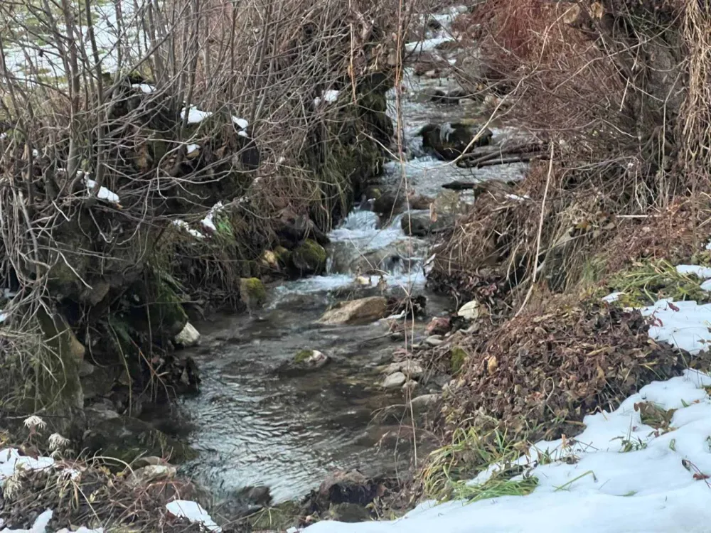 Mje&scaron;tani Vinicke neće dozvoliti sјeču &scaron;ume u diјelu &Scaron;everina