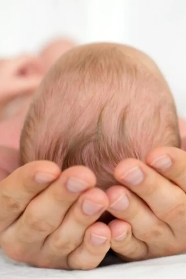 Pozitivan prirodni prira&scaron;taj u osam op&scaron;tina