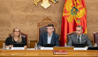 Mladi, omladina, parlament