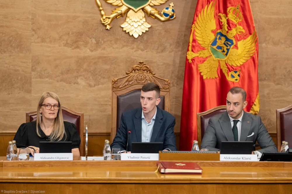 Mladi, omladina, parlament