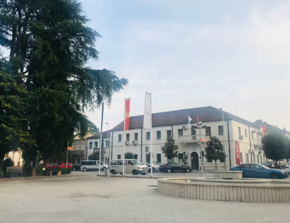 Savović: Ako je ustanova imala dva direktora, smijeniti kompletan odbor