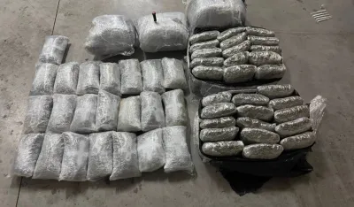 UP: U Baru pronađena marihuana, jedna osoba će krivično odgovarati