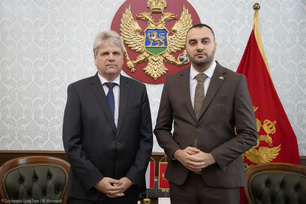 Stjepović razgovarao sa ambasadorom&nbsp;Austrije