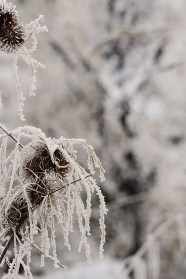 Kako zima utiče na hormone: Uzroci i rje&scaron;enja
