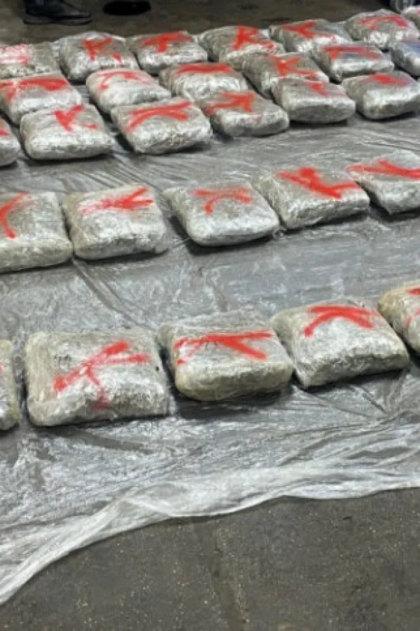 Bjelopoljac uhap&scaron;en u Srbiji: Imao falsifikovana dokumenta i 52 kilograma marihuane
