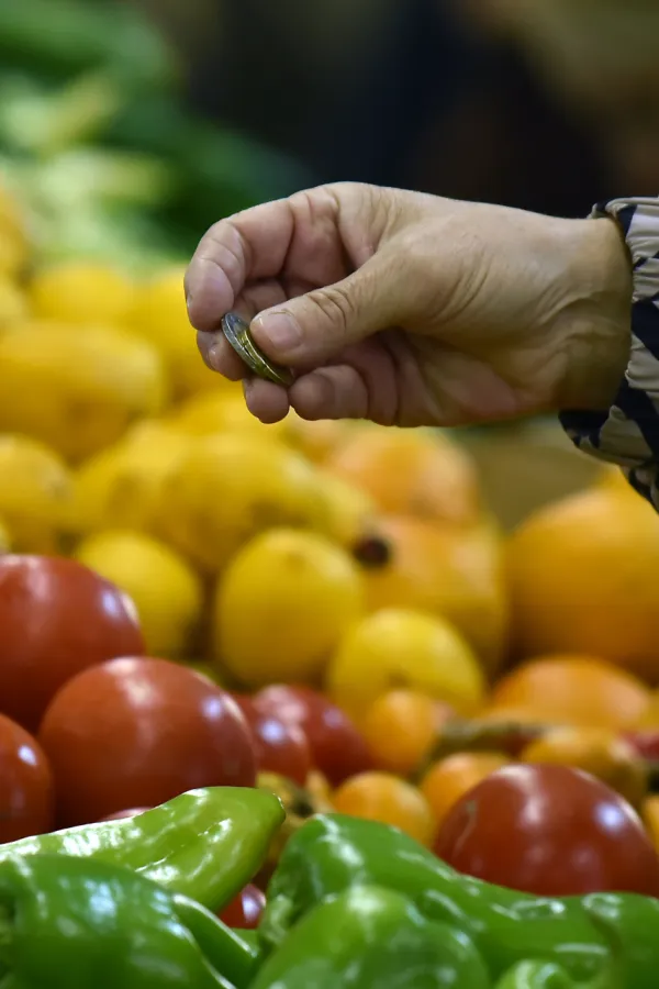 FAO: Svjetske cijene hrane ponovo porasle