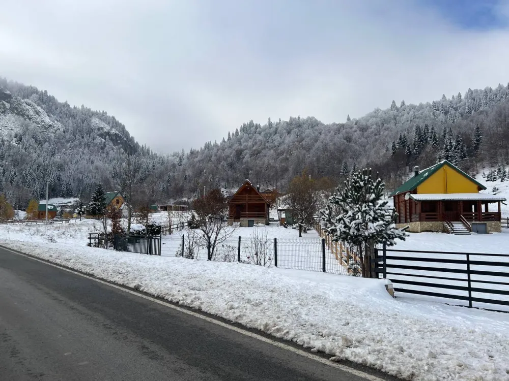 Јеловица у зимском амбијенту