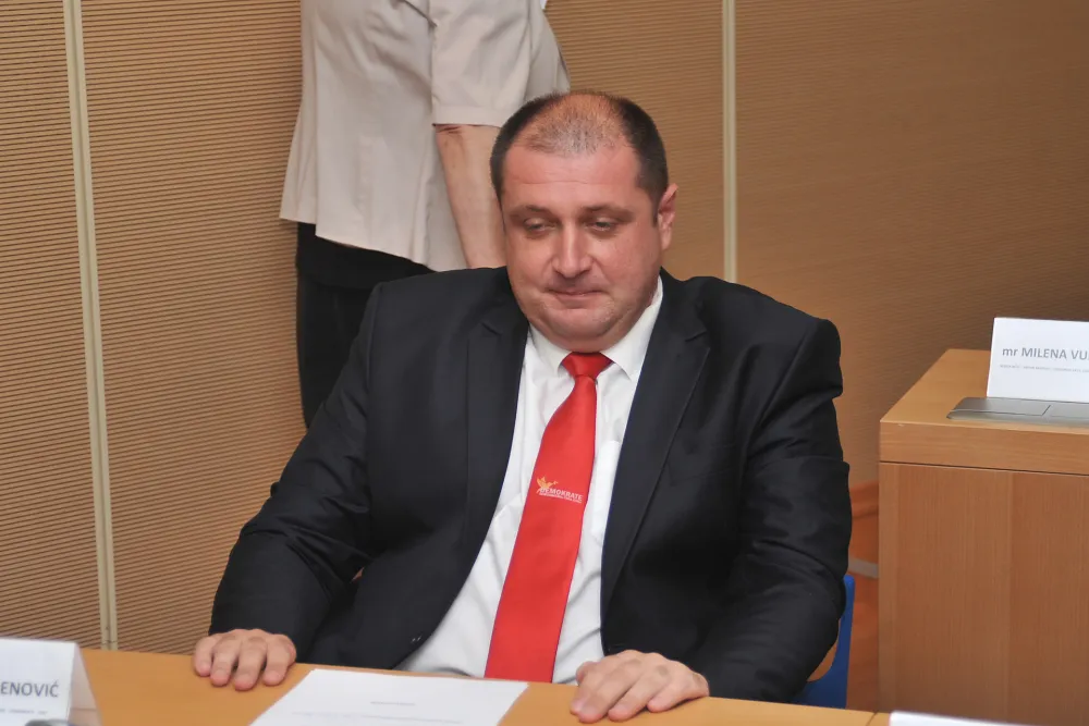 Владимир Чађеновић