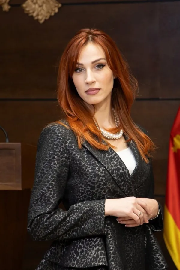 Voјinović za "Dan": Lokalni izbori nisu opravdanje za destabilizaciјu političkih prilika