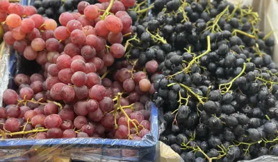 Za kilogram grožđa dva kila nara