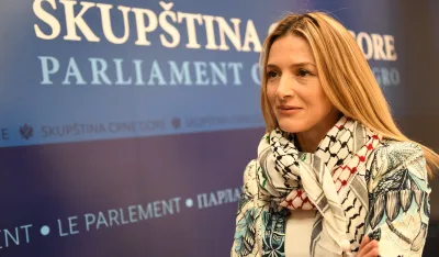 Strujić Harbić: Hitno uspostaviti krizne centre za žrtve seksualnog nasilja