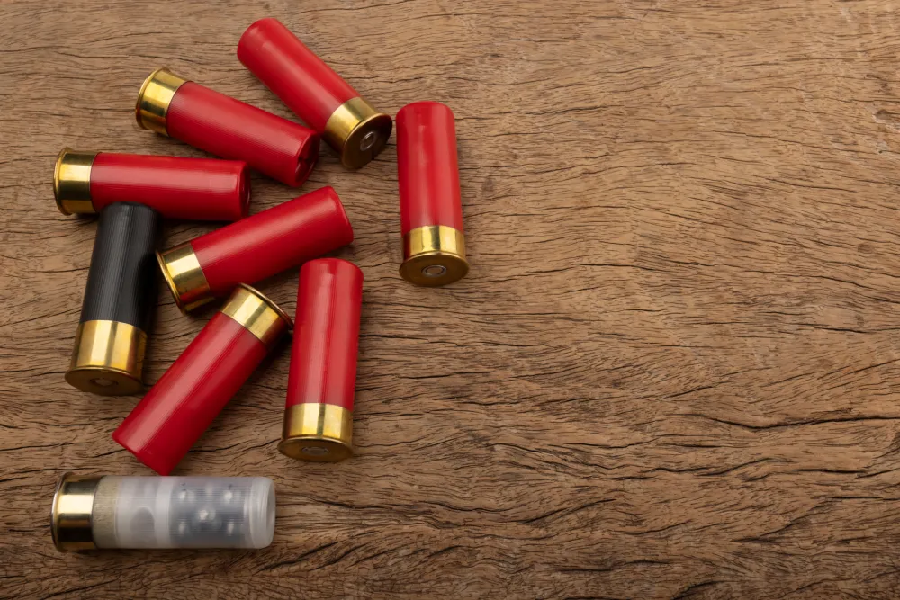 Kod učenika zemunske O&Scaron; pronađene patrone za lovačku pu&scaron;ku