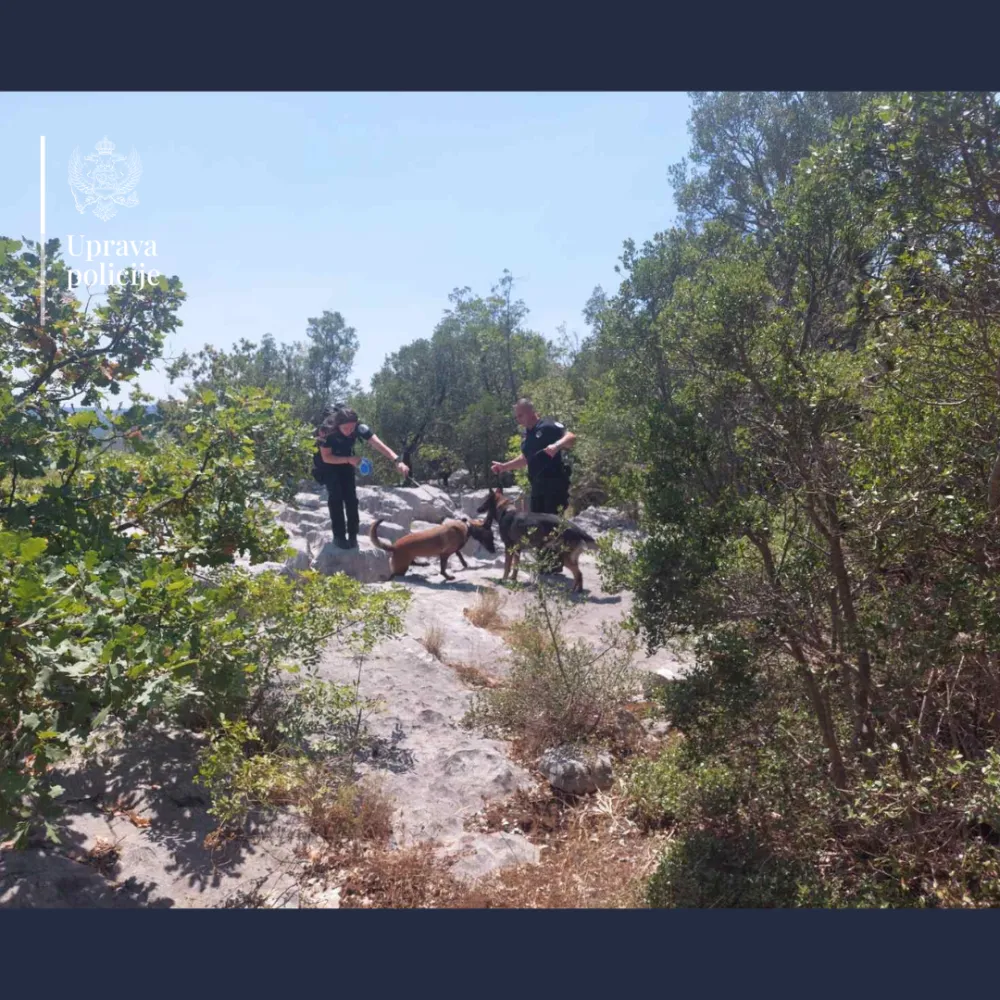 VDT u Podgorici podigao optužnicu protiv državljana Pakistana: Migranti opljačkani i mučeni, dječak zlostavljan