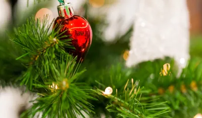 Najgora i najbolja mjesta za novogodi&scaron;nju jelku