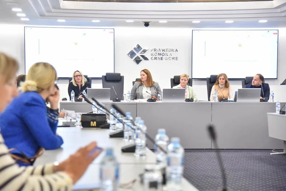 Unapređenje mehanizama za&scaron;tite intelektualne svojine