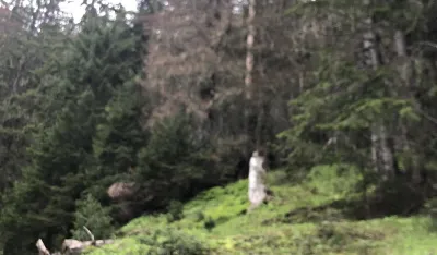 Zbog potkornjaka u NP Prokletije na sceni ekolo&scaron;ki genocid