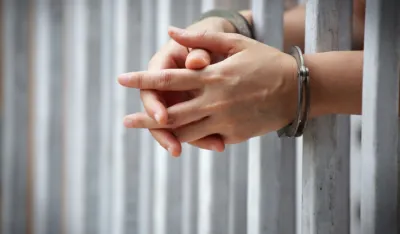 Zbog vožnje pod opijatima Nik&scaron;ićaninu 15 dana zatvora