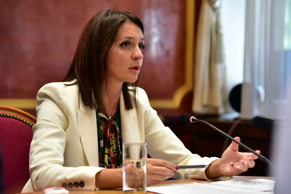 Armenko:&nbsp;Nisu istiniti navodi da sam samoinicijativno poslala obavje&scaron;tenje Ustavnom odboru Skup&scaron;tine&nbsp;u vezi penzionisanja&nbsp;sudija