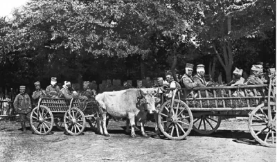 Knjeginja Darija Karađorđević (6): Razočaranje zbog izostanka savezničke pomoći
