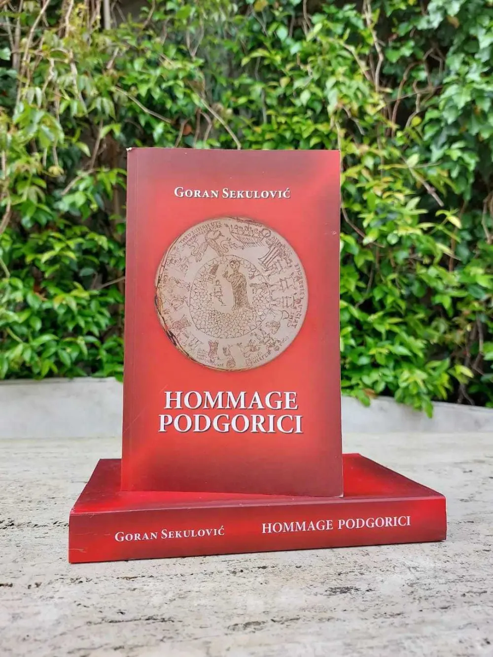 KNJIGA GORANA SEKULOVIĆA