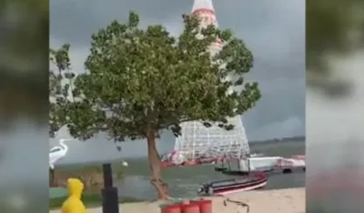 Jelka sa 360.000 lampica pala i usmrtila radnika