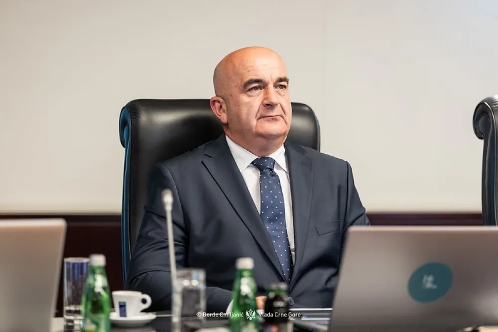 Usvajanjem zakona stvoreni uslovi za povećanje domaće proizvodnje