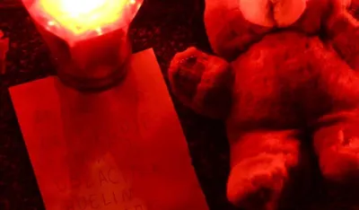 Danas Dan žalosti u Hrvatskoj: U tragediji stradao đak prvak