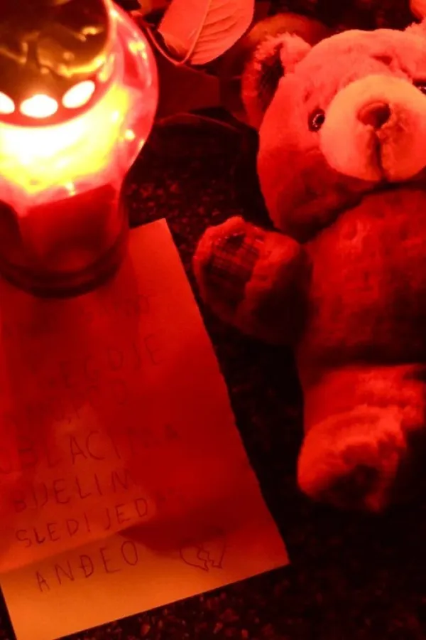 Danas Dan žalosti u Hrvatskoj: U tragediji stradao đak prvak