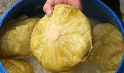 Recept za salatu od kiselog kupusa kakvu jo&scaron; niste probali