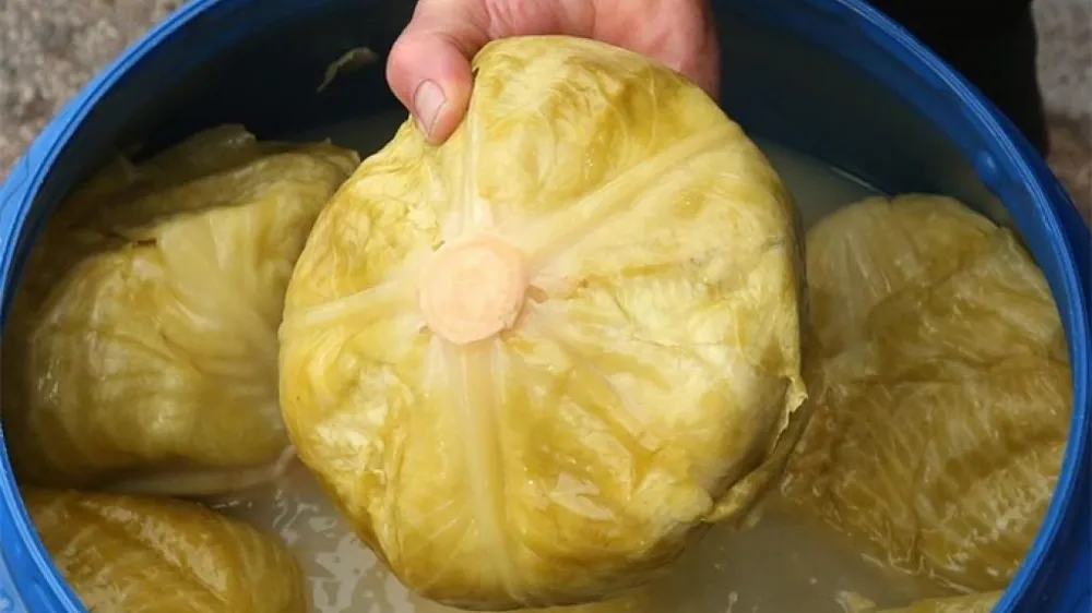 Recept za salatu od kiselog kupusa kakvu jo&scaron; niste probali