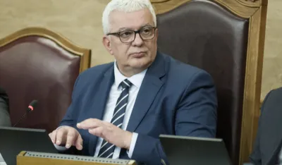 Mandić: Cijeli svijet zanijemio na scene koje dolaze sa mjesta ove velike tragedije