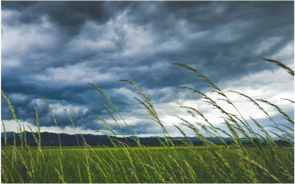 Sjutra vjetrovito, do 17 stepeni