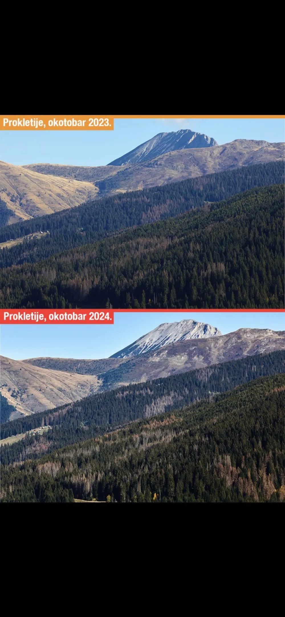 Potkornjak napao 1,5 miliona kvadrata Prokletija