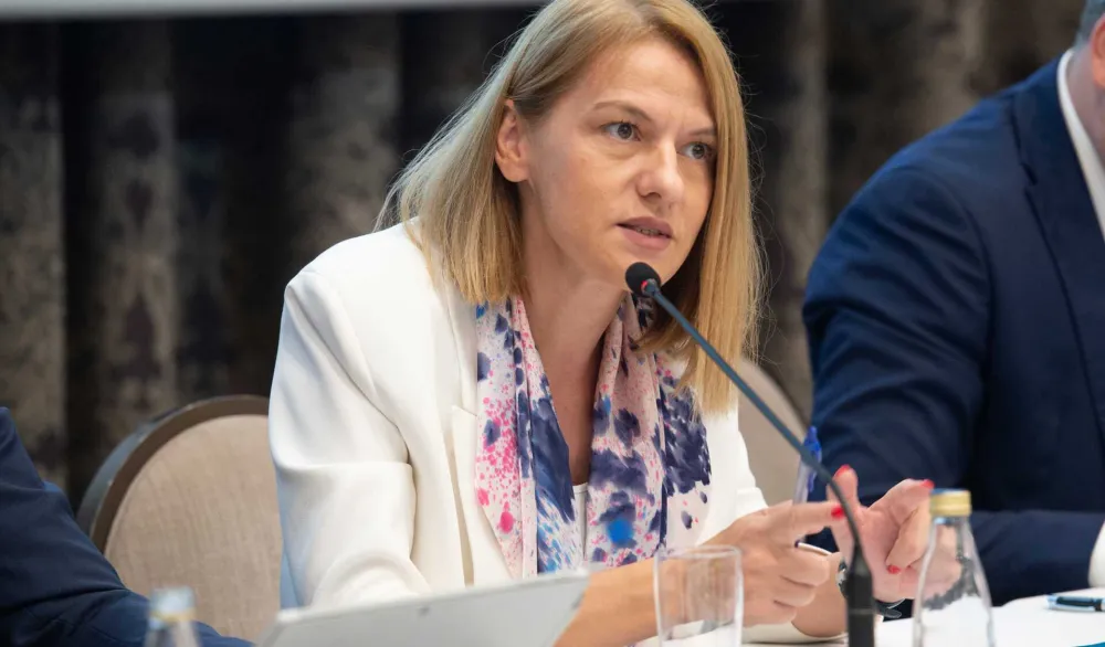 Drakić: Neophodna diversifikacija ekonomije i unapređenje poslovnog ambijenta