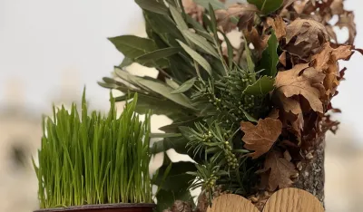 Koji su običaji za Božić?