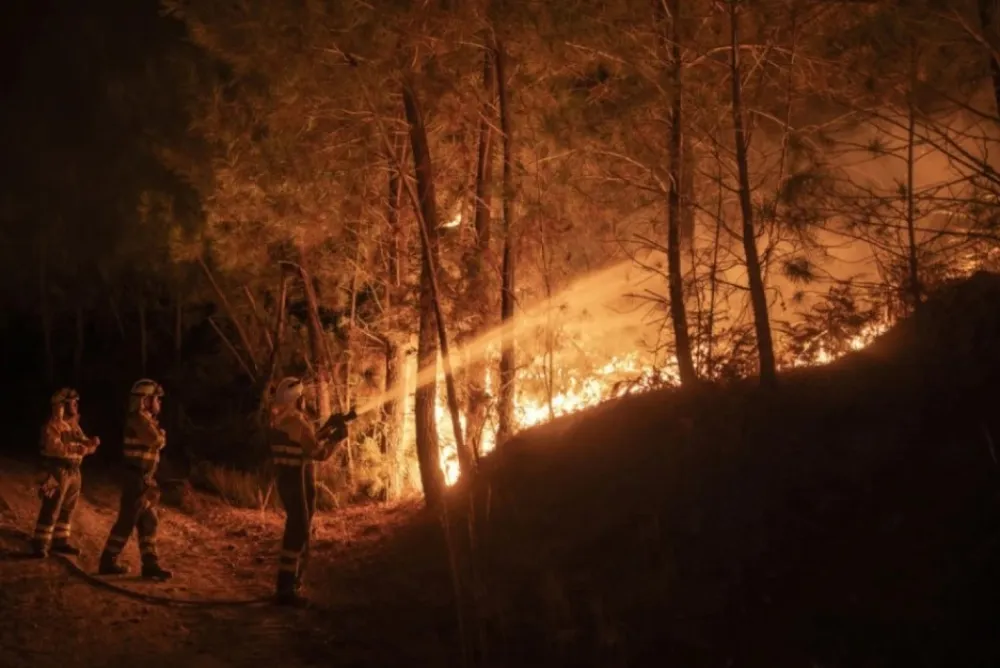 (VIDEO) Bukti požar kod Los Anđelesa