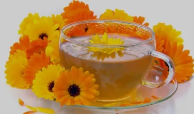 Neven - ljekovita biljka za zdravlje i njegu kože