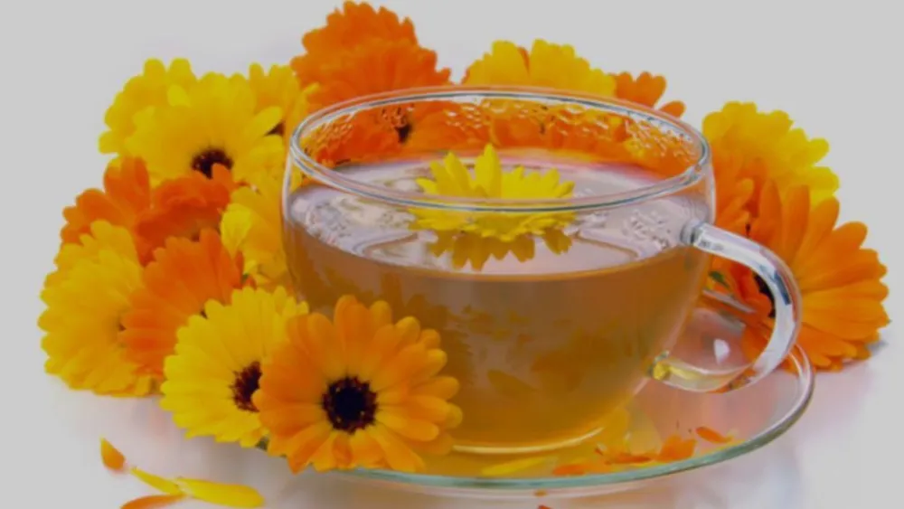 Neven - ljekovita biljka za zdravlje i njegu kože