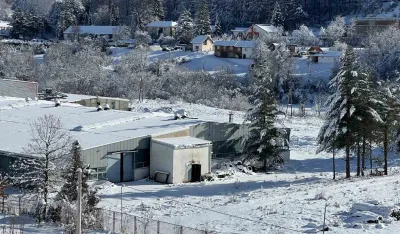 Dugovanja zatvorila pogone peleta u Andrijevici