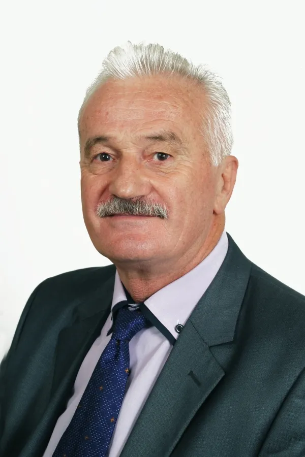 Pluralistička demokratija