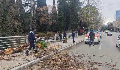Drvo polomilo ogradu na mostu braće Zlatičanin