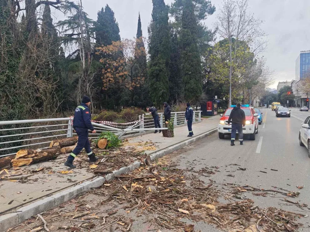 Drvo polomilo ogradu na mostu braće Zlatičanin