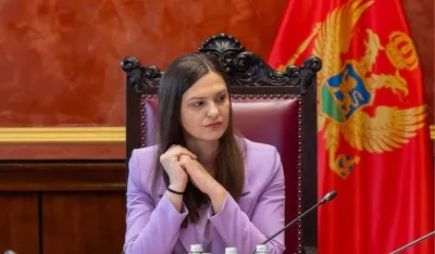 Andrić: Svi se iseljavaju, samo DPS ostaje