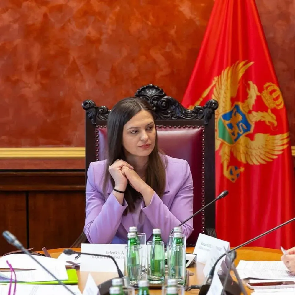 Andrić: Svi se iseljavaju, samo DPS ostaje