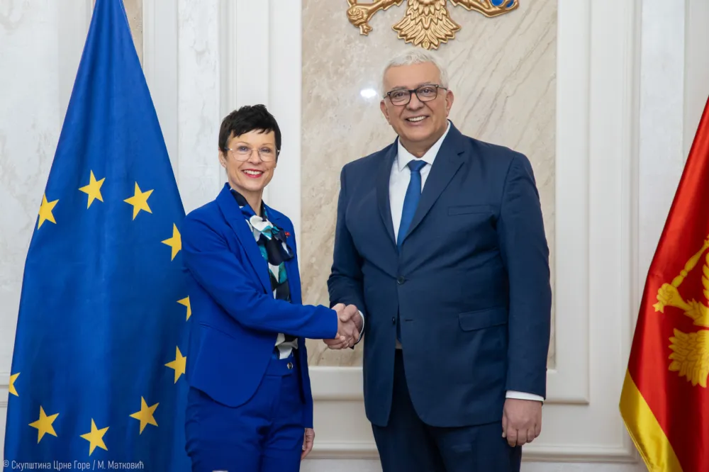 Mandić i Kos: Skup&scaron;tina dala ključni doprinos odblokiranju evropskog puta