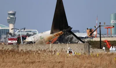 Ptičje perje i krv u motorima aviona koji se sru&scaron;io u Južnoj Koreji