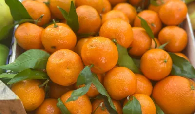 Kilogram mandarina 2, 50 eura