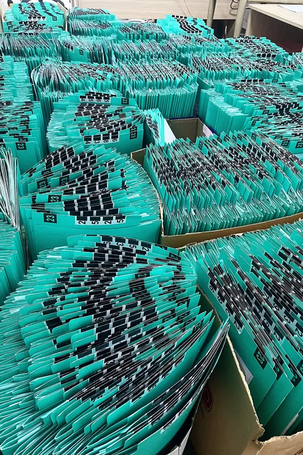 Upravni sud Crne Gore zatrpan sa 26 hiljada tužbi